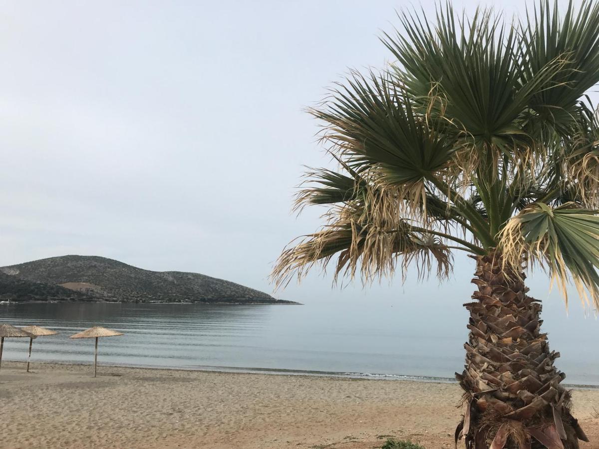 Cosy Studio 2 Minutes Walking From The Beach Anávyssos Eksteriør bilde